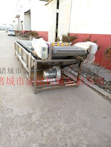 貴州魚(yú)腥草清洗機(jī)三七花鼓泡式清洗機(jī)