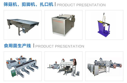 隨州鴻宇機械設備廠家小型羊肚菌烘干箱與果蔬烘干機市場價格解析