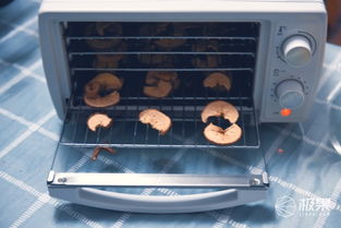 360°烘干，原汁原味即刻享用 金正家用食品水果烘干機全體驗