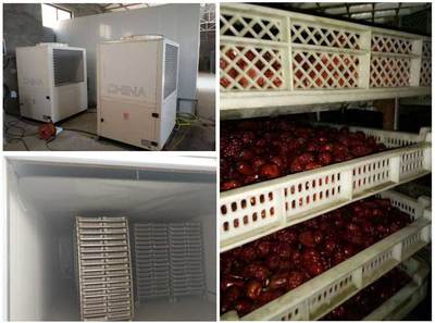 喜訊 正旭三款果蔬烘干機入選國家補貼目錄，最高補貼4萬元助力產業升級